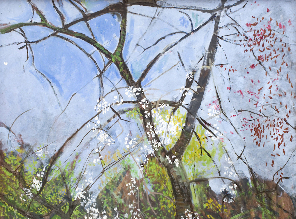 Jean Cooke Ungardening, Garden Museum a cramped show of airy and